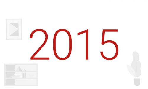 Hotărârile adoptate în cursul anului 2015